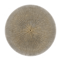 Cruz seção do árvore tronco revela intrincado crescimento argolas e natural texturas, exibindo passagem do Tempo e beleza do natureza. circular padronizar é hipnotizante png