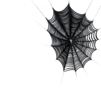 Detailed black and white spider web illustration on transparency background, showcasing intricate patterns and symmetry. web appears delicate yet strong, capturing essence of nature artistry png