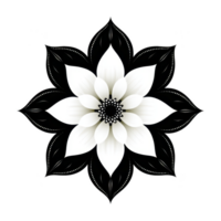 Symmetrical black and white floral mandala design with intricate patterns and central flower motif, creating sense of balance and harmony png