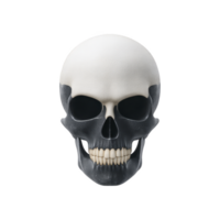 Realistic human skull illustration with smooth texture and detailed features, set against plain background. skull is depicted in frontal view, showcasing its anatomical structure png