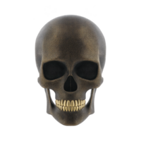 Digitally rendered skull with textured surface and gold teeth, set against plain background, creates striking and edgy visual png