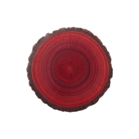 Vibrant red tree ring cross section displays intricate growth patterns, highlighting natural beauty and age of wood. concentric circles reveal tree history png
