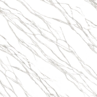 Image features abstract pattern of white, vein like lines transparency background, creating striking contrast and dynamic visual effect. design resembles natural marble or stone textures png