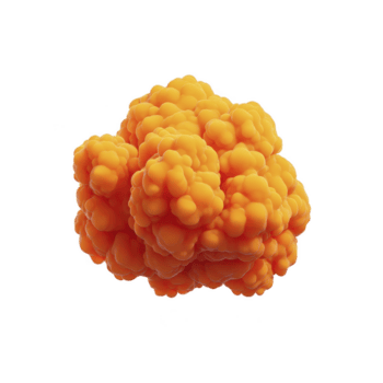 Vibrant, abstract 3D rendering of orange cloud like structure with smooth, bumpy surface, resembling cluster of bubbles or cells. image is isolated on transparency background png