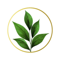 Green leafy plant is encircled by thin gold ring, creating simple and elegant design. leaves are vibrant and detailed, adding natural touch to minimalist composition png