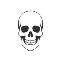 Detailed black and white illustration of human skull, showcasing intricate shading and texture. skull is centered on plain background, emphasizing its features and creating striking visual impact png