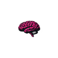 Vibrant pink brain illustration on transparency background, showcasing intricate details and modern design. bold color and style create striking visual impact png