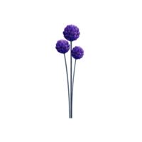 Three vibrant purple flowers with layered petals stand elegantly on slender stems against plain background, showcasing their natural beauty png