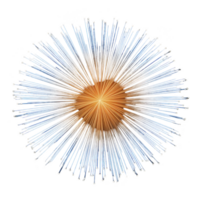 Vibrant burst of light resembling firework or abstract starburst, with radiating lines in blue and orange against transparency background, creating dynamic and energetic visual effect png