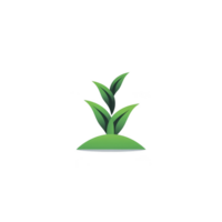 Small green plant with three leaves growing from mound of soil, symbolizing growth and nature. simple design is set against transparent background png