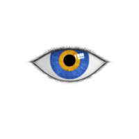 Digital illustration of blue and yellow eye with detailed eyelashes, set against transparency background, creates striking and surreal visual effect png
