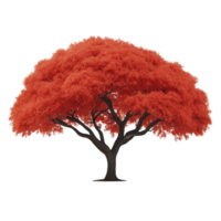 Vibrant red tree with full, lush canopy stands alone, showcasing its striking color and intricate branches. tree vivid foliage creates captivating and serene visual png