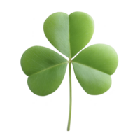 Vibrant green three leaf clover with smooth texture, symbolizing luck and nature. clover is isolated on transparency background, highlighting its simple beauty png