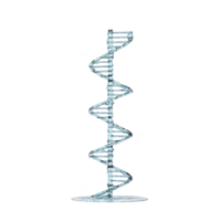 3D model of DNA double helix structure, showcasing iconic twisted ladder shape with base pairs. model is isolated on transparency background, emphasizing its intricate design png