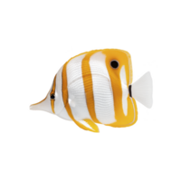 Vibrant orange and white striped fish with long snout and distinct black markings swims gracefully, showcasing its elegant fins and unique pattern png