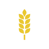 Stylized yellow wheat icon with black outline, symbolizing agriculture and harvest. simple design features vertical arrangement of leaves, conveying growth and abundance png
