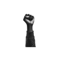 Black and white image of raised fist symbolizes strength, unity, and resistance. monochrome style emphasizes powerful message of solidarity and empowerment png