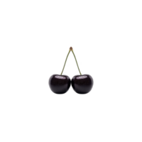Two dark cherries with stems are connected, isolated on transparency background, showcasing their glossy texture and rich color png