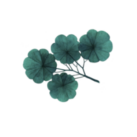 Cluster of four teal colored, textured leaves with radial pattern, resembling stylized botanical illustration, is depicted against plain background. leaves are arranged natural, overlapping manner png