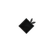 Minimalist black square with decorative leaves on transparent background, perfect for modern design projects png