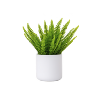Vibrant green fern plant in simple white pot, isolated on transparency background, showcasing its lush foliage. Perfect for home decor or office spaces, adding touch of nature indoors png