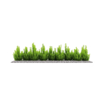 Row of vibrant green shrubs is neatly arranged on bed of small gray pebbles, creating natural and serene landscape element. lush foliage contrasts beautifully with stones png