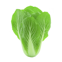 Fresh, vibrant green napa cabbage with crisp leaves and visible veins, isolated on transparency background. texture and color highlight its freshness and suitability for salads or cooking png
