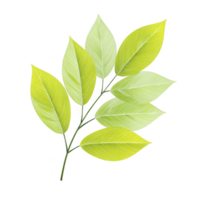 Vibrant illustration of branch with multiple green leaves, showcasing various shades and textures, creating fresh and natural appearance png
