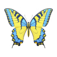 Vibrant yellow and blue butterfly with intricate patterns on its wings, showcasing nature beauty and symmetry. butterfly delicate structure is highlighted against plain background png
