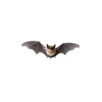 Bat with outstretched wings is flying against transparency background, showcasing its detailed wing structure and natural features png