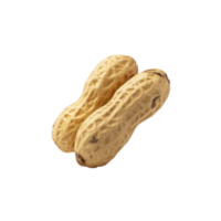 Two whole peanuts with textured shells are shown against transparency background. peanuts are positioned side by side, highlighting their natural, earthy appearance png