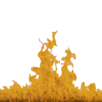 Vibrant display of yellow flames dances against transparent background, creating dynamic and energetic visual. fiery scene captures essence of heat and movement png