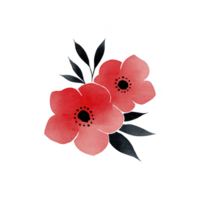 Two vibrant red watercolor flowers with dark centers and green leaves create delicate and artistic floral arrangement. soft brushstrokes and subtle gradients add touch of elegance png