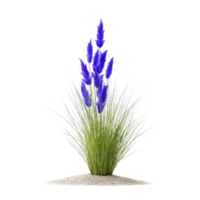 Vibrant blue flower with spiky petals stands out against green grass, growing from small mound of sand. striking contrast of colors creates visually appealing and serene image png