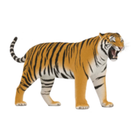 Fierce tiger stands with its mouth open, showcasing its sharp teeth and striking orange and black striped fur. tiger powerful stance and intense expression convey strength and dominance png