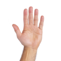 Open human hand with fingers spread against transparency background, showing palm and fingers clearly. image focuses on details of skin and lines on palm png