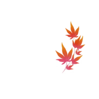Branch of vibrant red and orange autumn leaves is set against plain transparency background, creating striking contrast. leaves are delicately arranged, showcasing beauty of fall foliage png