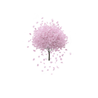 Pink cherry blossom tree with delicate petals falling gracefully, creating serene and peaceful atmosphere. tree stands alone, symbolizing beauty and tranquility png