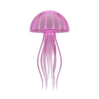 Vibrant pink jellyfish with translucent tentacles gracefully floats against plain background, showcasing its delicate and ethereal beauty png