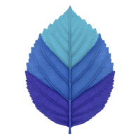 Vibrant leaf with gradient of blue shades, from light to dark, showcases intricate vein patterns. symmetrical design and vivid colors create striking visual effect png