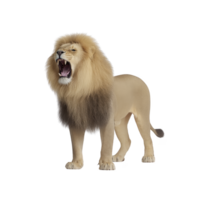 Majestic lion stands with its mouth open, showcasing its powerful roar. lion mane is full and impressive, highlighting its status as king of jungle png