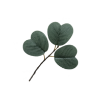 Branch with three heart shaped green leaves, featuring detailed vein patterns, is isolated transparency background. leaves are arranged natural, organic manner, showcasing their texture png
