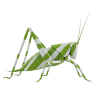 Green and white striped grasshopper with long antennae and detailed legs stands against transparency background, showcasing its unique pattern and vibrant colors png