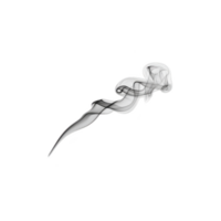 Swirling, abstract black and white smoke trail creates dynamic and ethereal visual effect, resembling flowing ribbon or wisp of vapor. intricate patterns evoke sense of mystery and elegance png