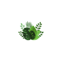 Collection of lush green tropical leaves, including monstera and fern, arranged in vibrant and natural design. leaves are layered to create sense of depth and freshness png