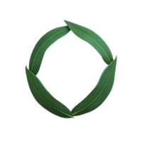 Three green leaves arranged in circular shape on transparency background, symbolizing nature and sustainability. leaves form simple, elegant design that conveys sense of harmony and balance png