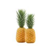 Two ripe pineapples with vibrant green leaves stand side by side against transparency background, showcasing their textured golden skin and tropical appeal png