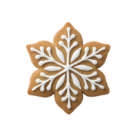 Snowflake shaped gingerbread cookie with intricate white icing design on transparency background, perfect for festive occasions png