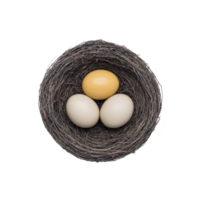 Bird nest containing two white eggs and one golden egg, symbolizing uniqueness and value, is set against plain background. nest is crafted from twigs, creating natural and rustic appearance png