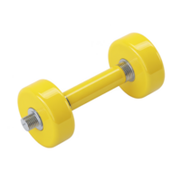 Bright yellow dumbbell with shiny metal handle, perfect for home workouts and strength training. Its vibrant color adds cheerful touch to any fitness routine png